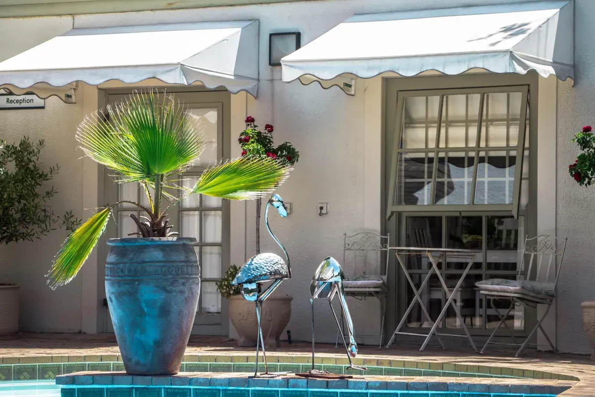 Wild Olive Luxury Guest House