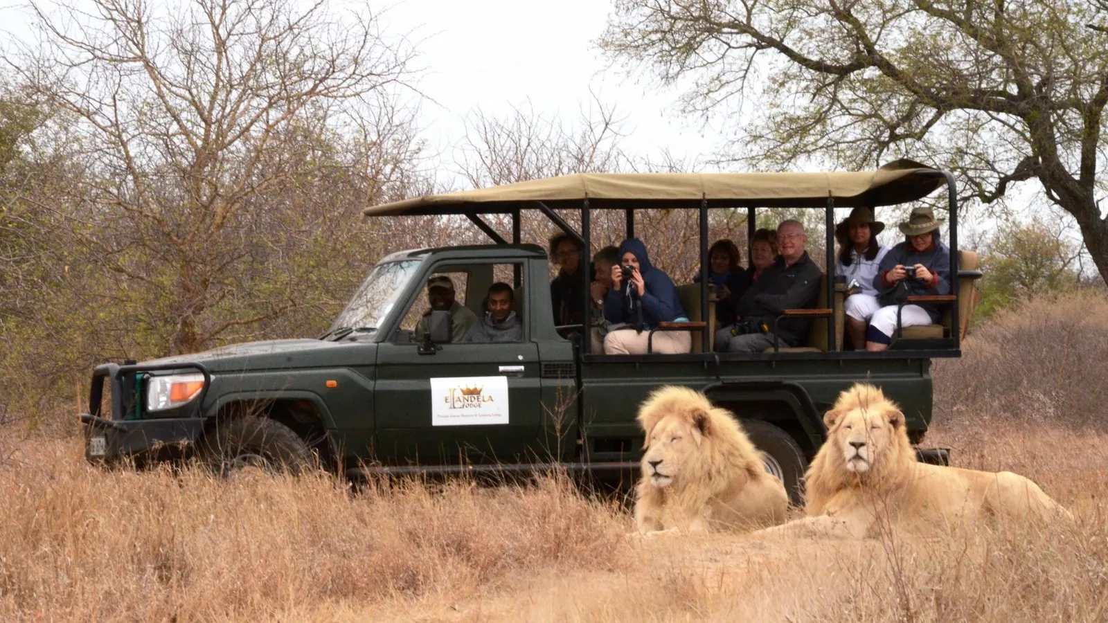 Elandela Private Game Reserve & Luxury Lodge