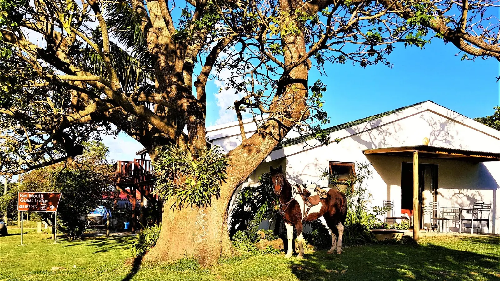 Kei Mouth Guest Lodge