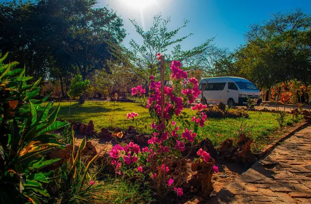 Guesthouse [Standard Room].