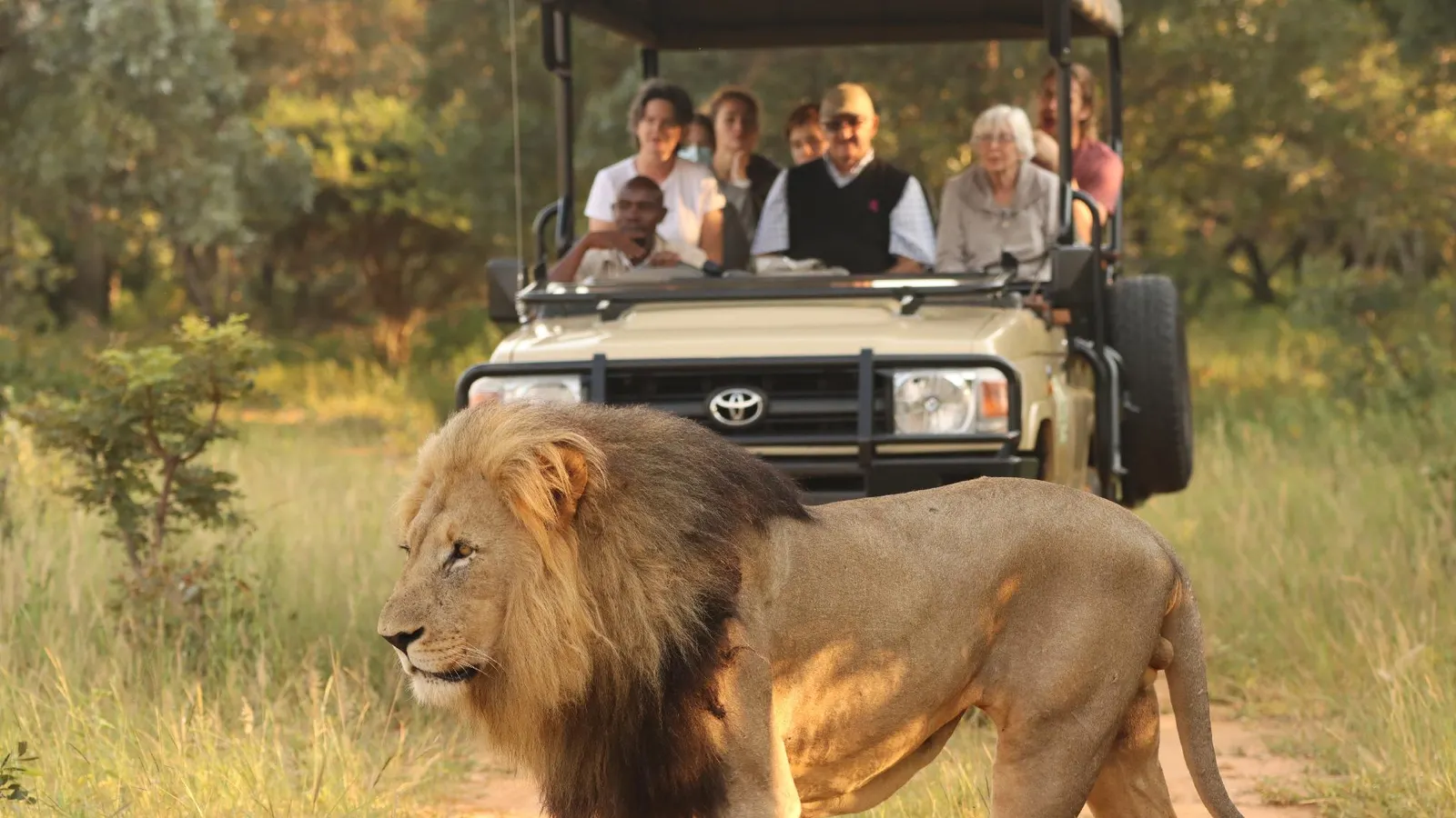 Honeyguide Ranger Camp