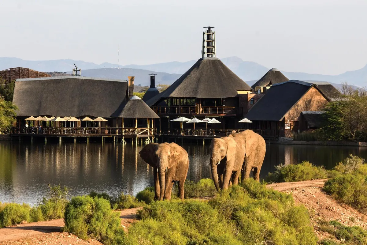 Buffelsdrift Game Lodge and Hotel