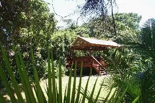 Mtunzini Forest Lodge – photo 2, Lodge in Mtunzini
