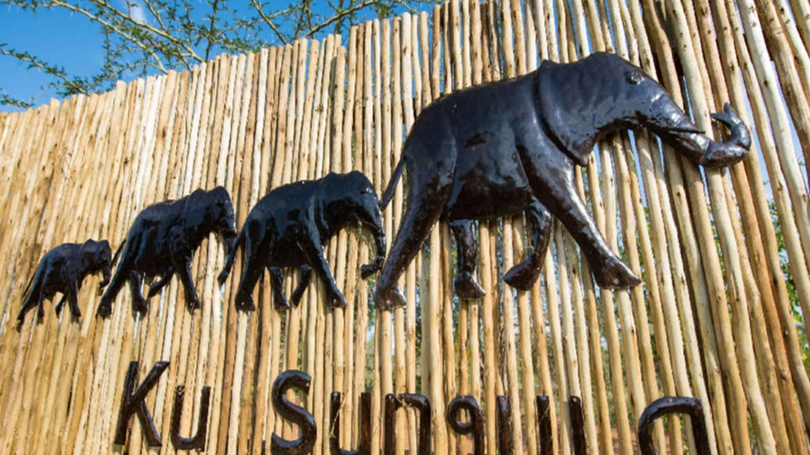 Ku Sungula Safari Lodge