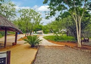 Jackalberry Ridge by Dream Resorts – photo 3, Hotel in Kruger National Park
