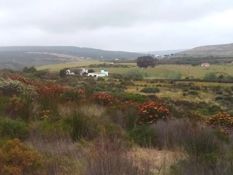 Wild Rescue Nature Reserve