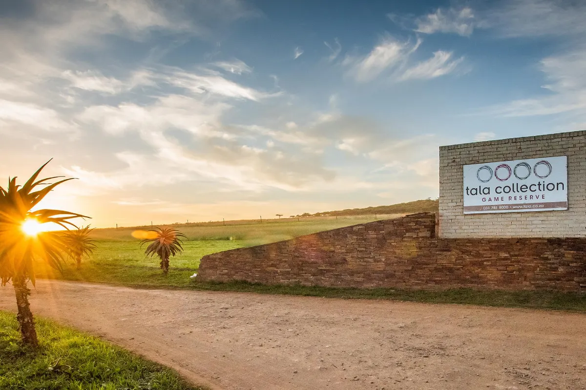 Tala Collection Game Reserve