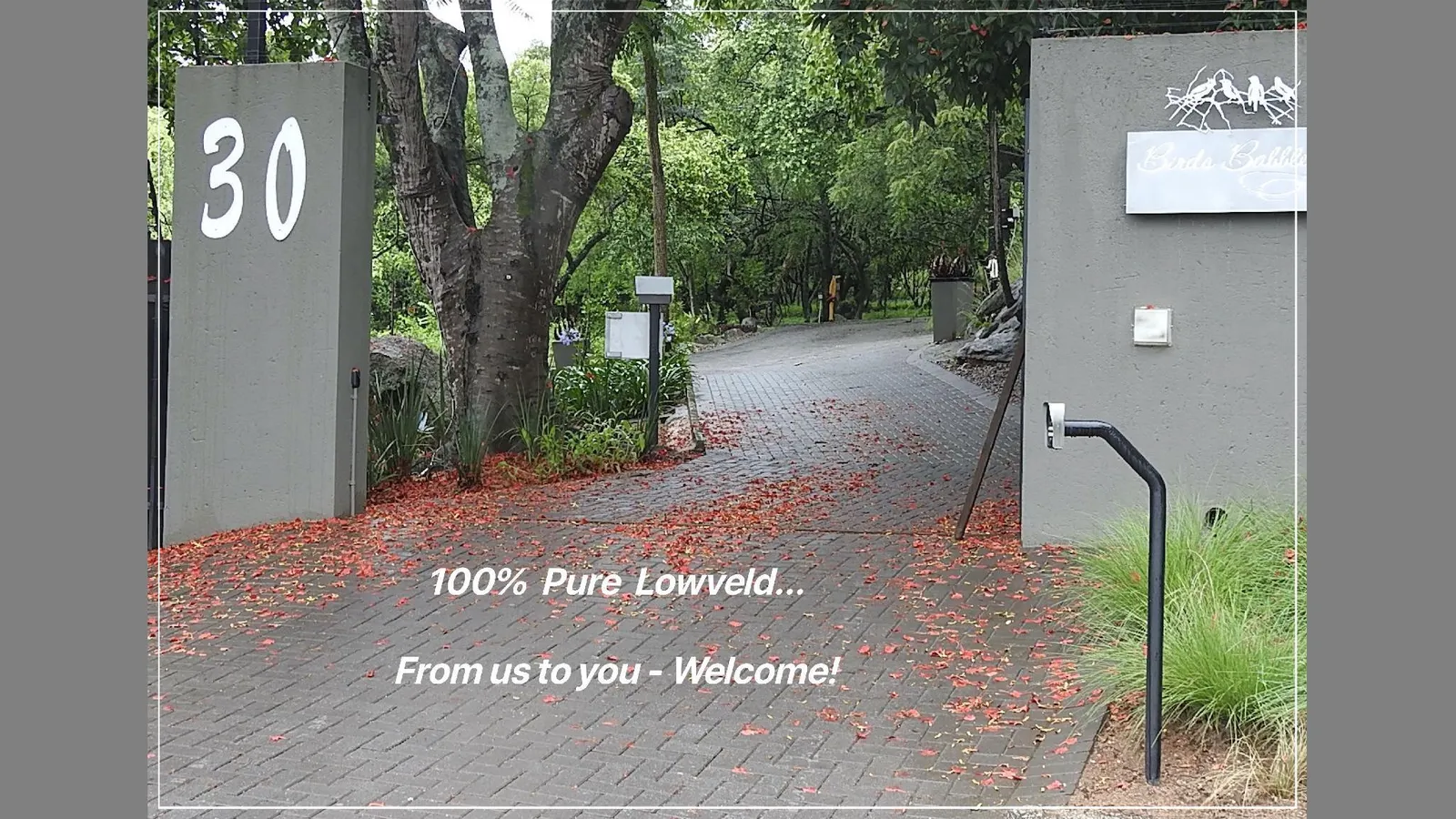 Birds Babble Self Catering Guest House