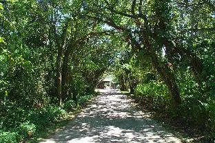 Mtunzini Forest Lodge – photo 3, Lodge in Mtunzini