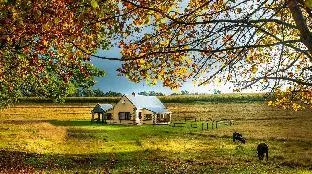 The FarSide Dam Cottage
