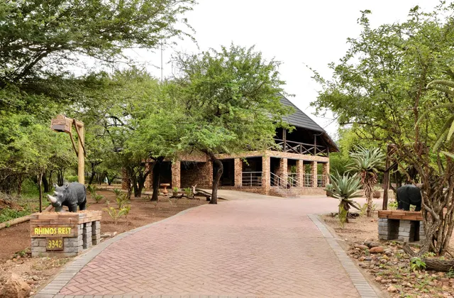 Rhinos Rest