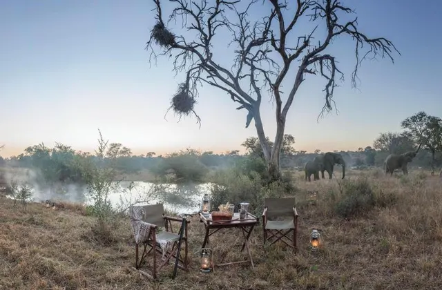 Kings Camp Private Game Reserve