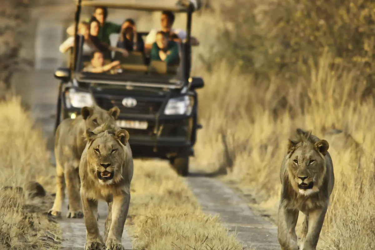 Morokolo Safari Lodge