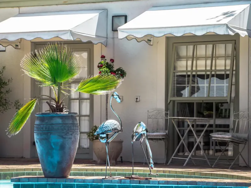 Wild Olive Luxury Guest House