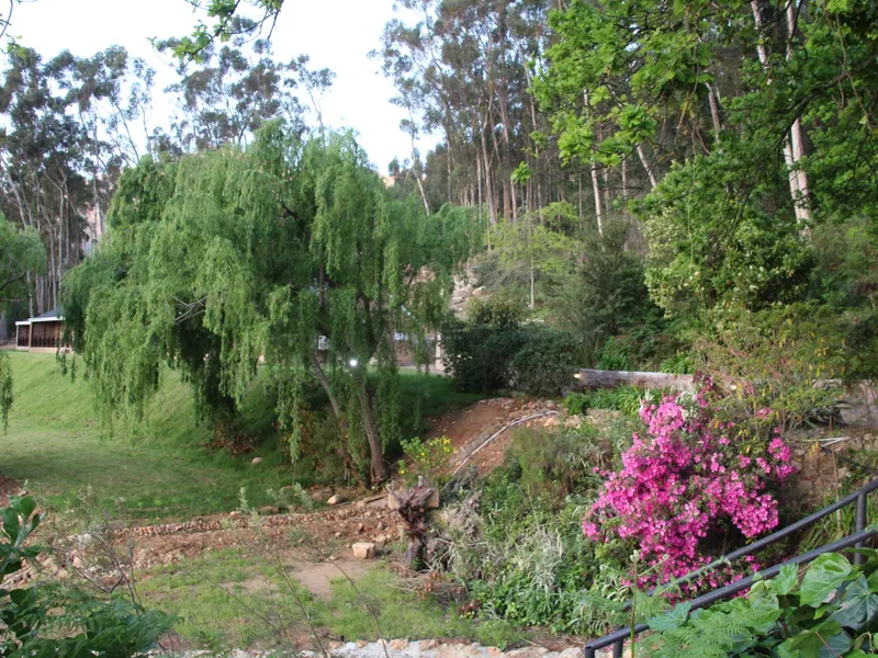 MontMartre Chalets & Venue