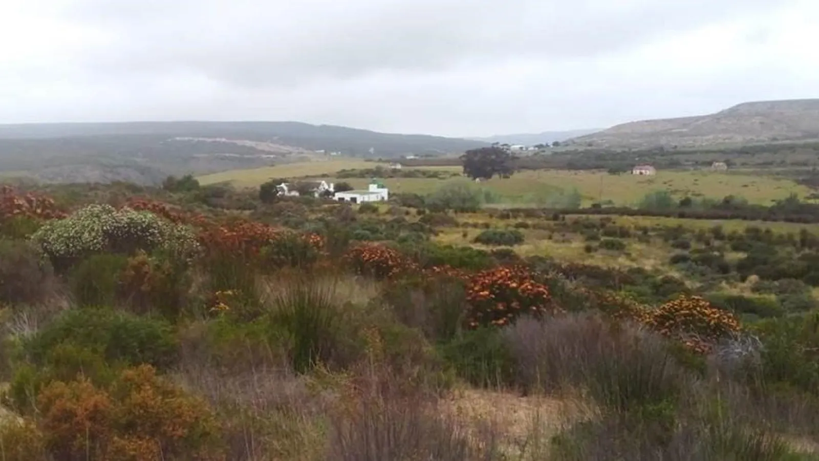 Wild Rescue Nature Reserve