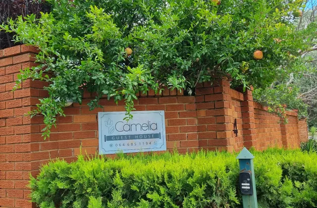 Camelia Guest House