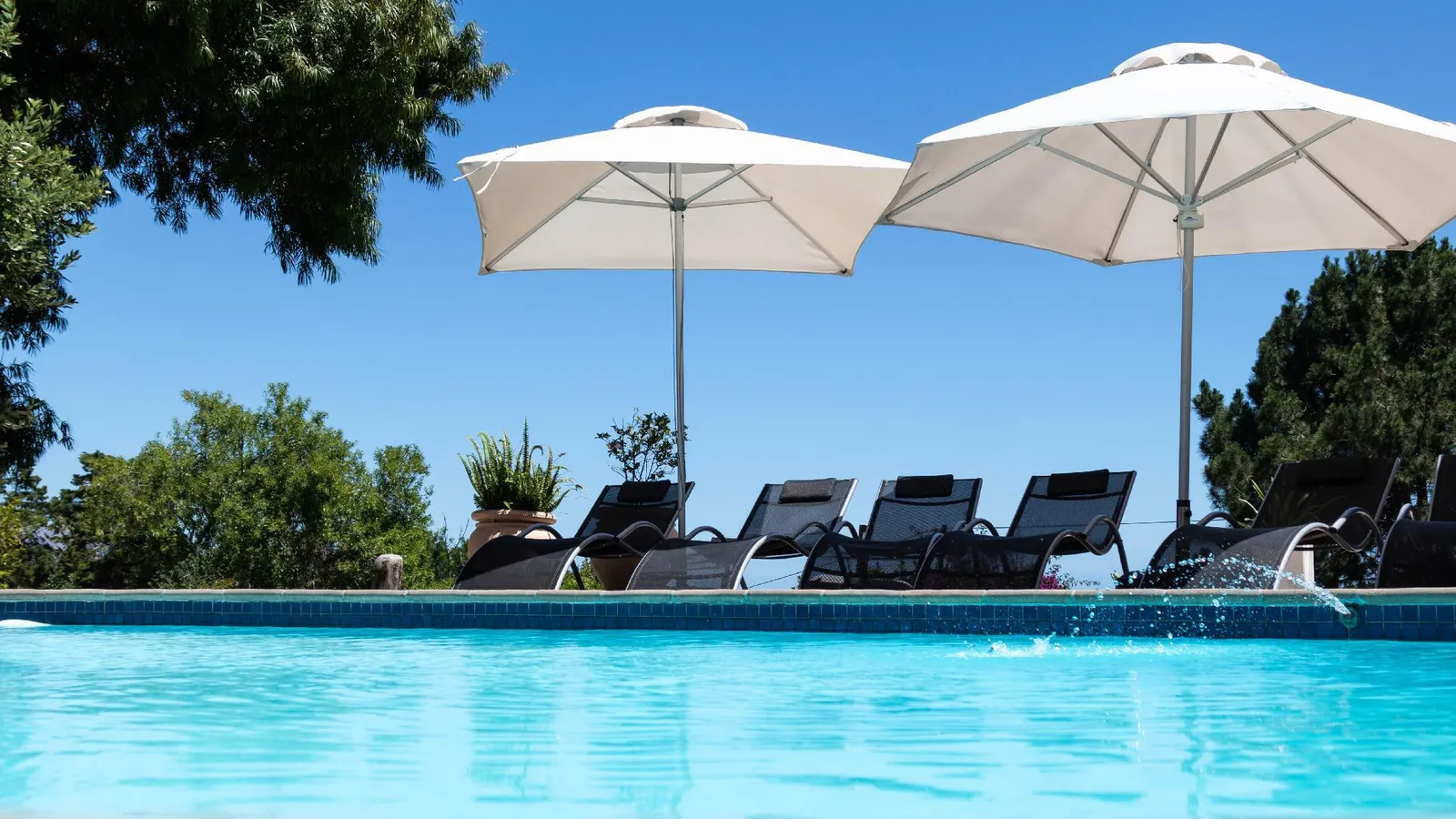 Winelands Villa Guesthouse and Cottages