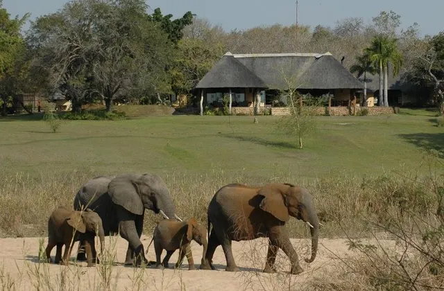 Inyati Game Lodge